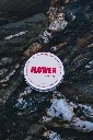 DSCF3738.webp