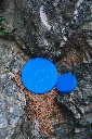 DSCF3706.webp