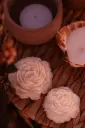 PIVOINE PARFUMÉE