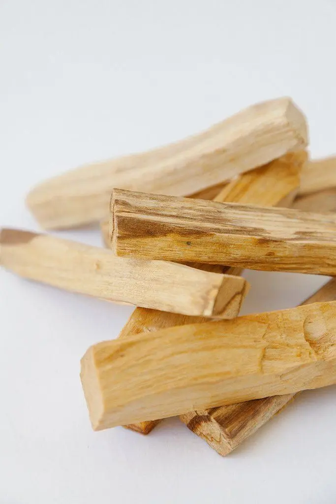 PALO SANTO